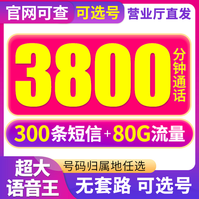 手机纯通话电话卡2000分钟外卖骑士只打电话大语音卡分钟数多号码