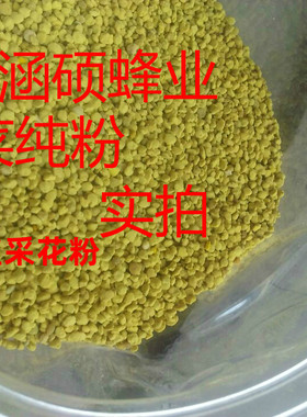 2025年青海新鲜油菜花粉天然 油菜纯花粉油菜纯粉食用蜂花粉花粉