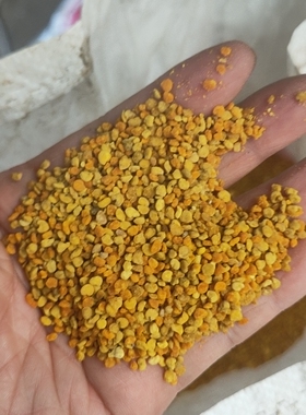 2023年新油菜杂花粉喂蜂花粉饲料花粉油菜杂粉颗粒蜜蜂百花杂粉