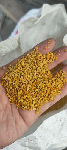 2023年油菜杂花粉饲料颗粒蜜蜂