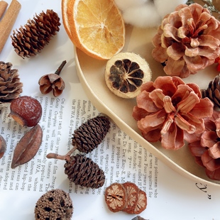 天然植物标本相框果实松果干花混搭幼儿园手工材料森系圣诞装饰
