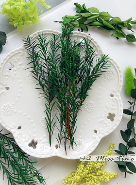 永生花千层叶保鲜装饰干花