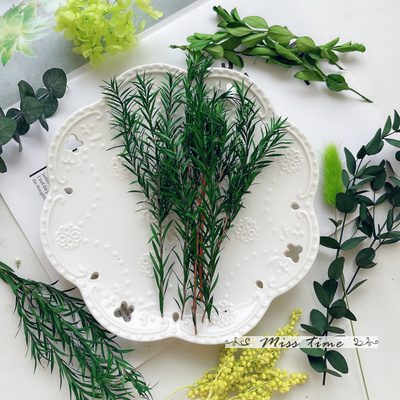 永生花千层叶保鲜装饰干花