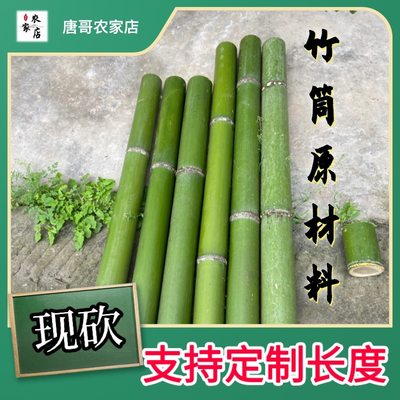 新鲜竹子绿色竹筒竹段天然竹竿婚庆装饰环创手工定制道具原材料