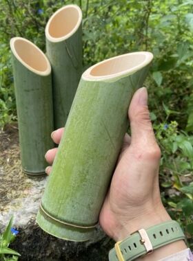 斜切竹筒新鲜绿色竹子婚庆桌面摆件竹筒插花花瓶装饰定制国风花器