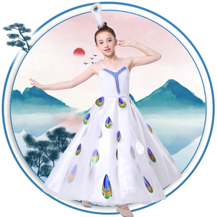 新款开场舞女杨丽萍同款孔雀舞蹈演出服傣族服装孔雀舞雀之灵艺考