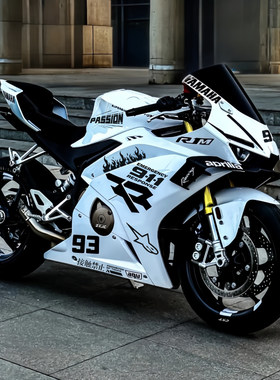 适用于张雪500RR/820RR车身版画
