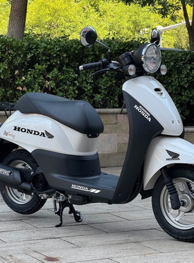 适用新大洲本田自由Today50电动车头拉花翅膀版画反光改装饰贴纸