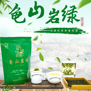新茶麻城特产璞然龟山绿茶叶茶袋装实用浓香耐泡型龟山岩绿礼盒