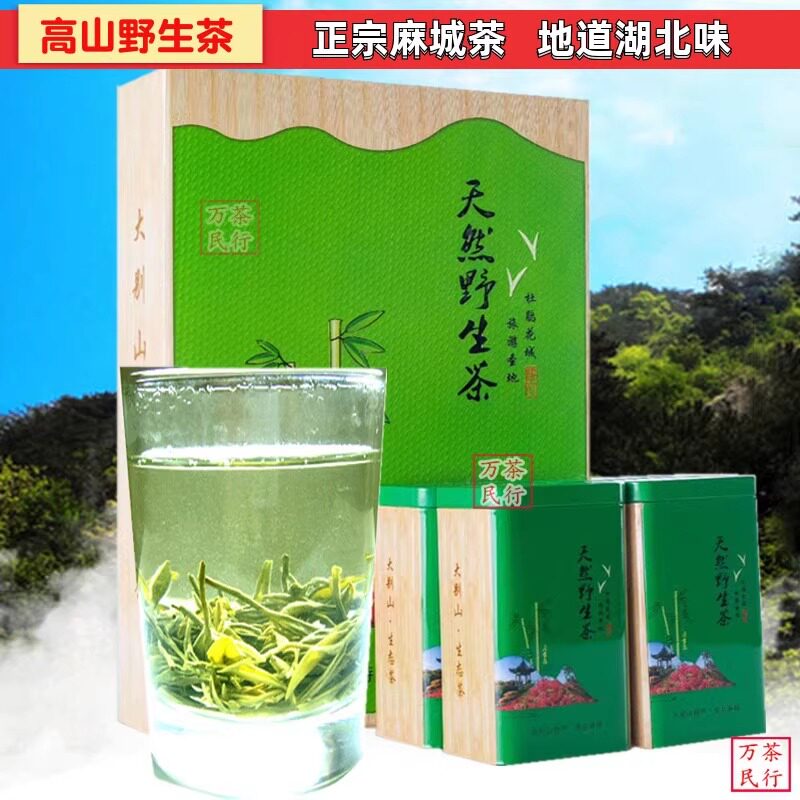 2026新茶叶麻城龟山绿茶叶护山雾毫农家雨前口粮茶天然野生茶500g