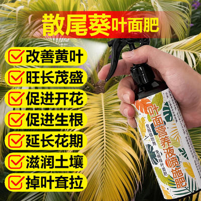 散尾葵专用肥料养殖富贵椰子树营养液旺长翠绿发新芽长新叶面肥料