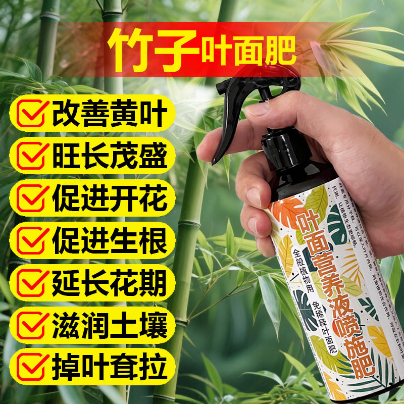 竹子营养液专用肥料水培肥料预防叶子发黄烂根家用盆栽植物液体肥