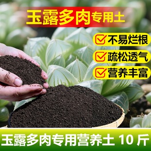 多肉玉露专用土料种植养殖花盆栽专用土花肥养护营养土种植肥家用