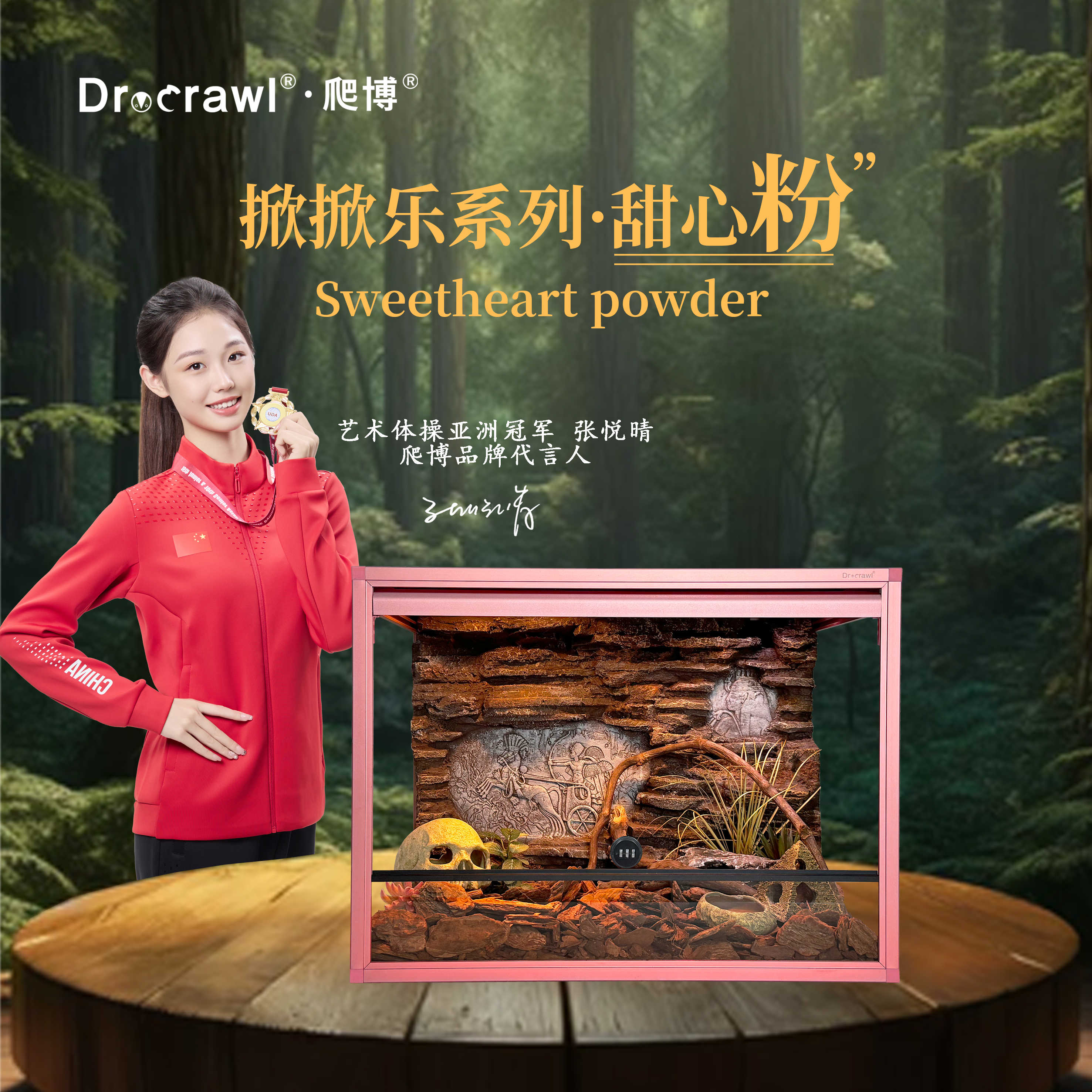 铝合金玻璃饲养箱通风透气造景缸