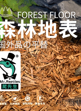 爬先生森林地表树皮垫材国外品平替陆龟蛇类鬃狮守宫昆虫甲虫蓝舌