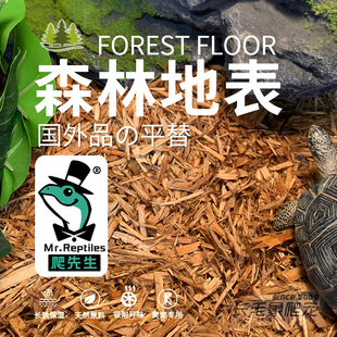 爬先生森林地表树皮垫材国外品平替陆龟蛇类鬃狮守宫昆虫甲虫蓝舌