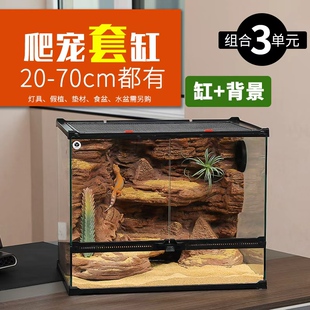 爬宠饲养箱套装系列3 爬宠睫角盖勾亚蓝舌蜥蜴鬃狮树蛙造景玻璃缸