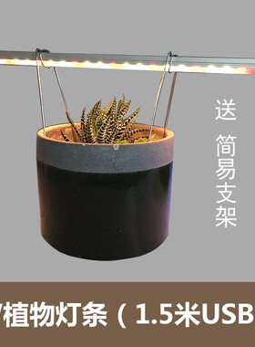 植力【USB植物灯条】多肉桌面仙人掌食虫草办公室led绿植补光灯