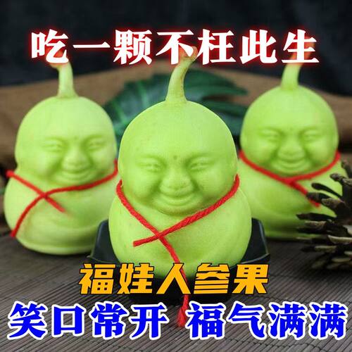 2026人形果人身果山东人参果新鲜水果人生果长寿果礼盒装现摘现发