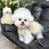 防晒裙子可爱 公主裙小狗狗猫咪夏日薄款 薄款 透气宠物衣服碎花飞袖