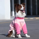 大狗狗衣服秋冬加绒加厚金毛粉色衣服边牧拉布拉多德牧喜庆中大型