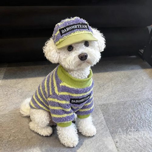 中小型犬狗狗衣服云朵绒秋冬保暖加绒加厚雪纳瑞泰迪比熊博美小狗