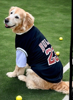 狗狗衣服大型犬薄款金毛拉布拉多杜宾假两件球服大狗衣服夏季衣服