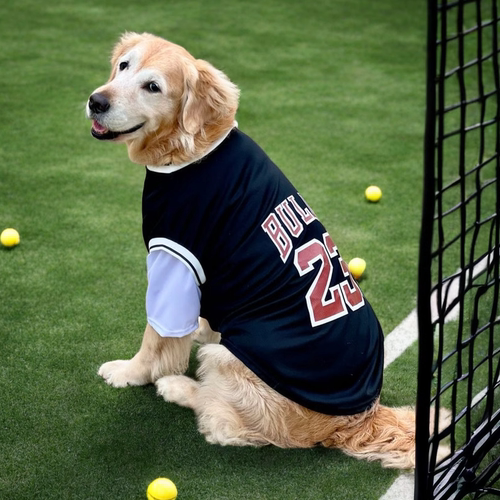 狗狗衣服大型犬薄款金毛拉布拉多杜宾假两件球服大狗衣服夏季衣服
