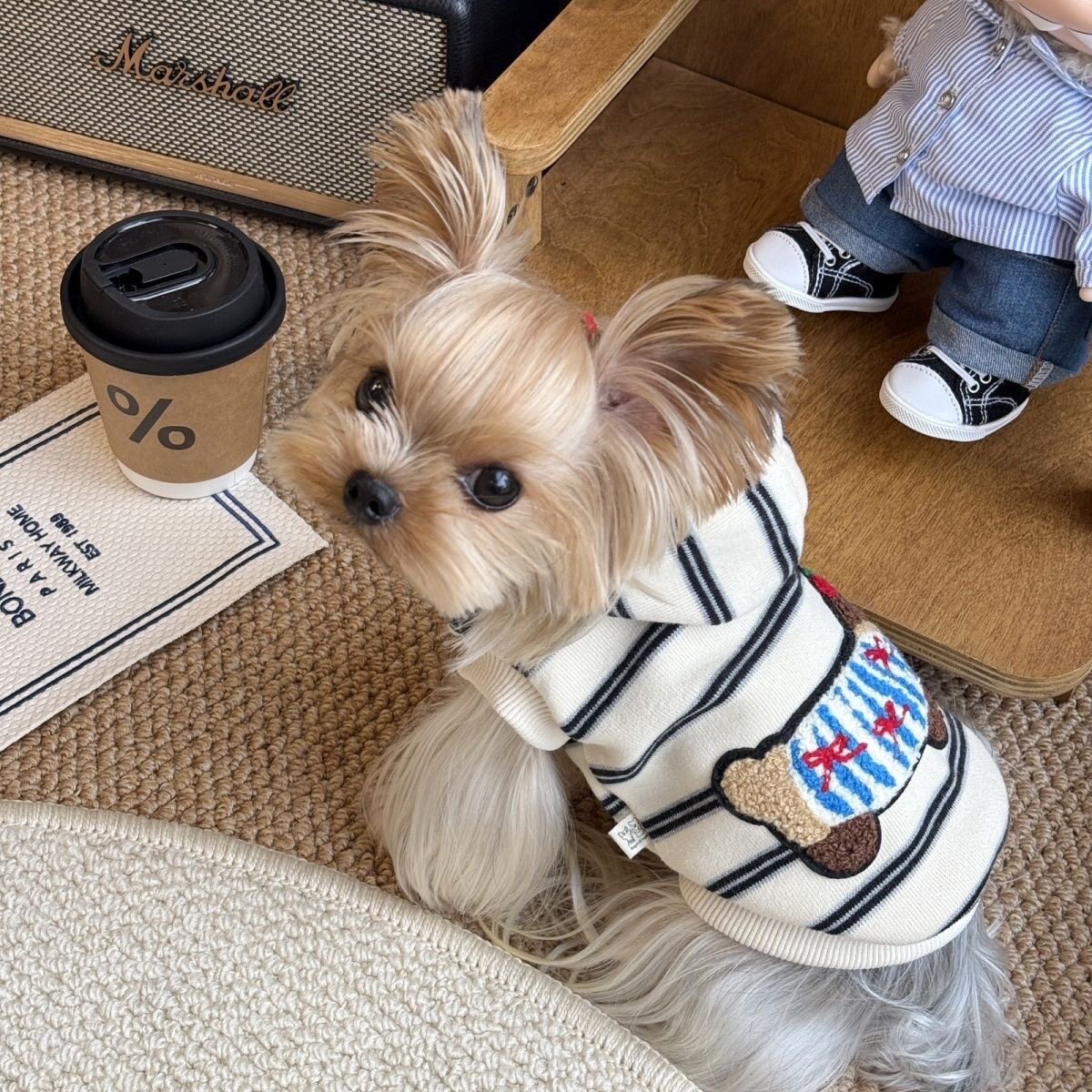 帅气宠物猫咪狗狗衣服薄款秋冬新款马尔济斯雪纳瑞泰迪连帽卫衣潮