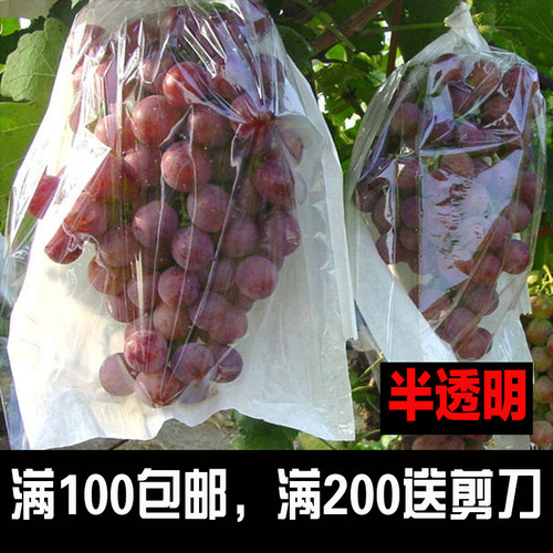 葡萄袋子专用日光半透明放鸟防虫