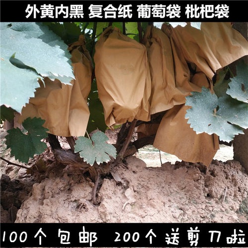 包邮外黄内复合遮光葡萄袋子