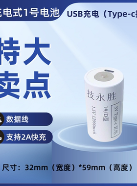 技永胜1.5V锂电池12000WHM大容量1号电池燃气灶热水器收音机通用