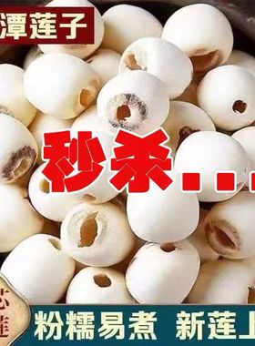 白莲子干货大粒去芯磨皮特莲去心白莲无心500g湖南特产通心包邮