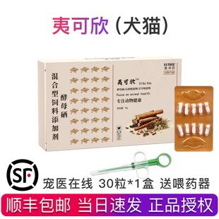 鲁米苏夷可欣宠物猫狗