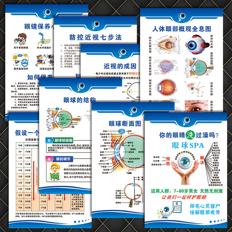 视力养护爱眼睛宣传画眼部眼球解剖图眼科医院眼镜店装饰画wst27