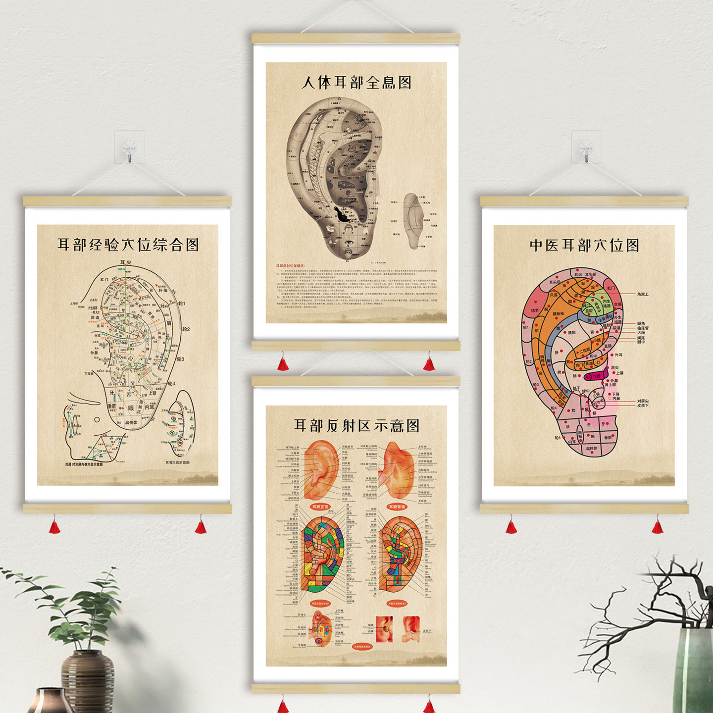 新中式中医挂图人体耳部穴位图耳穴挂画反射区示意图装饰画GZY25