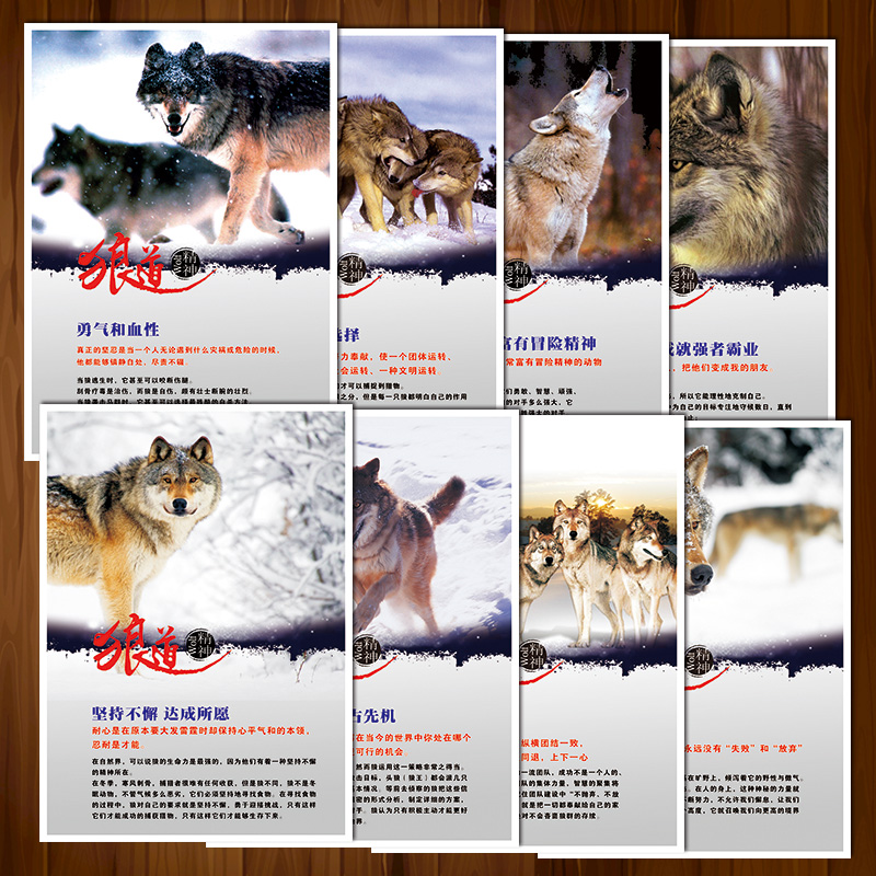 企业狼文化宣传画海报挂图标语王