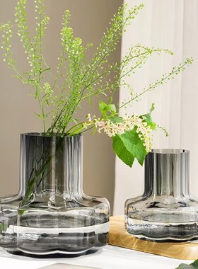 玻璃水培花瓶透明玻璃花瓶 现代简约家居装饰品礼品