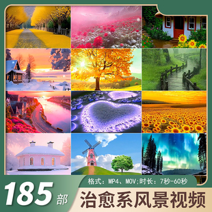 治愈系风景ai视频唯美意境天空云彩海滩花海雨景自然风景视频素材