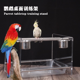 183小宠物新款中大型鹦鹉磨砂站杆架子亚克力小鸟站架桌面站架