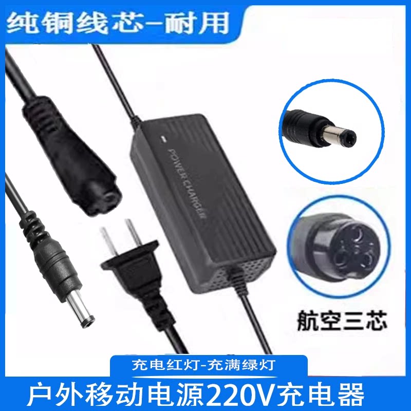 220V户外移动电源充电器插头12.6V6A10A锂电池家用快充电源适配器