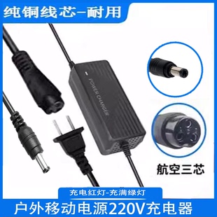 220V户外移动电源充电器插头12.6V6A10A锂电池家用快充电源适配器