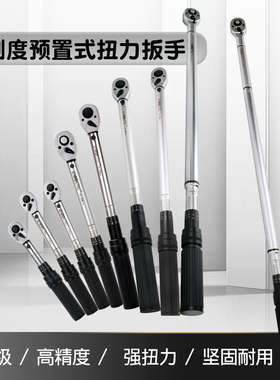 WISRETEC长寿命机械预置式扭力扳手双刻度大扭矩迷你型力矩棘轮头