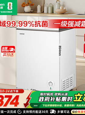 容声145L冰柜家用小型冰柜商用冷冻冷藏两用冷柜一级官方减霜冰箱