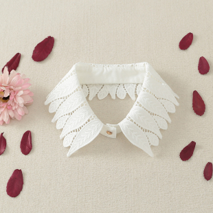 花边假领子女韩版 饰领外搭百搭神器蕾丝领单独衬衣领 百搭衣领装