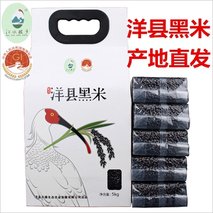 洋县黑米黑糯米 陕西洋县特产五谷杂粮粗粮黑大米真空10斤装礼盒