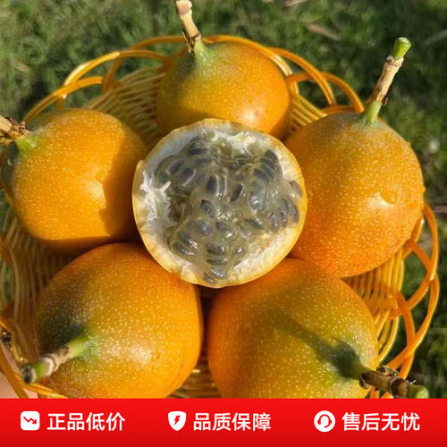 西双版纳新鲜纯甜无酸热情果