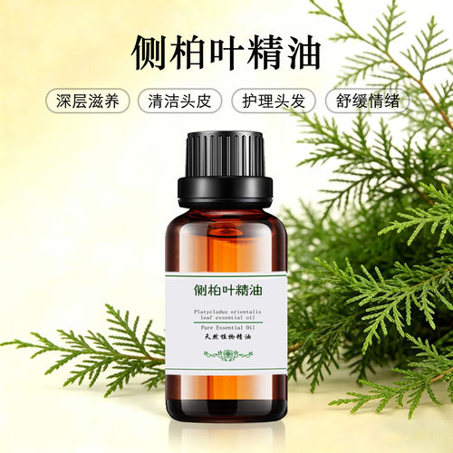侧柏叶精油护发滋养香薰