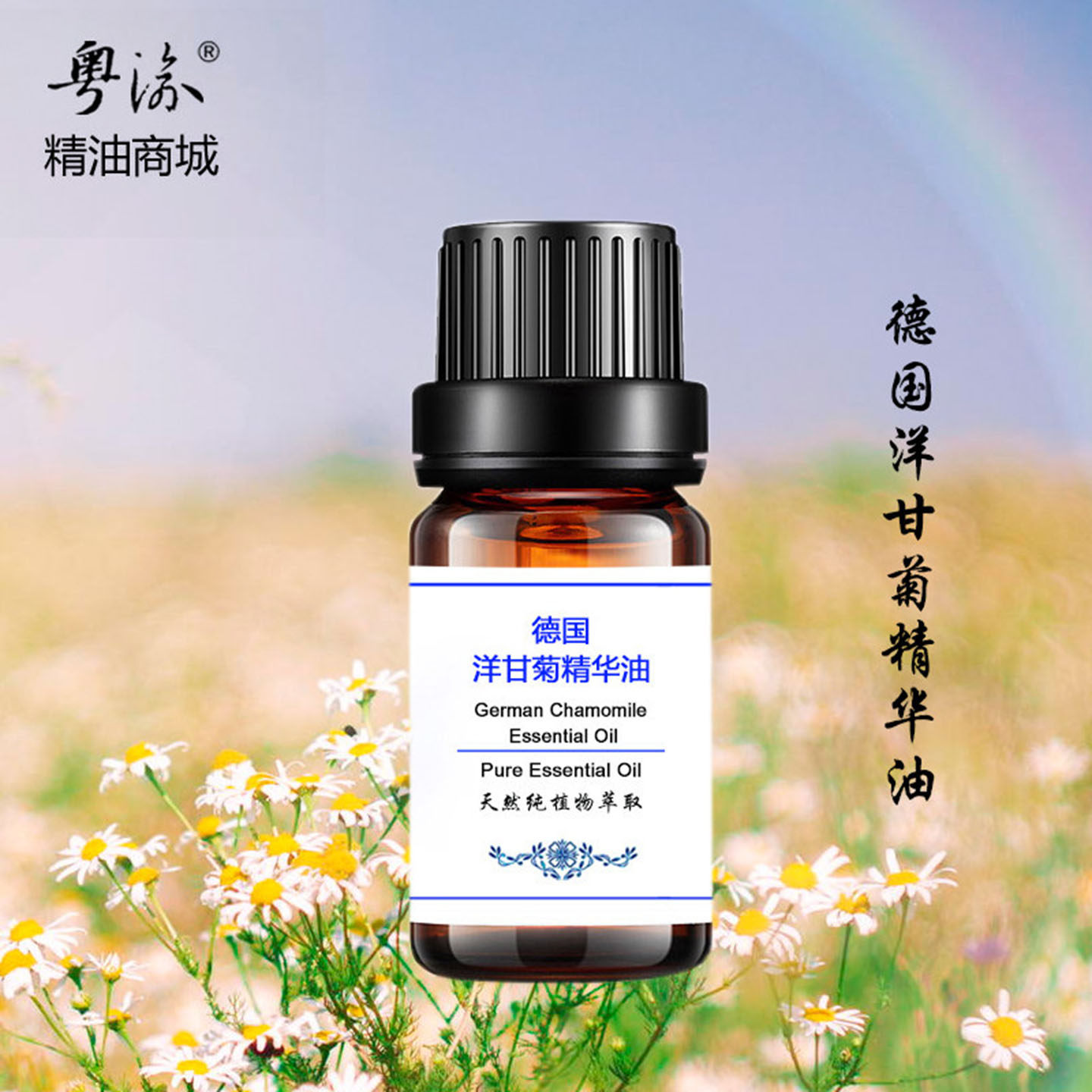 脸部按摩精油护肤商城德国洋甘菊精华油正品修护敏感肌肤面部护理