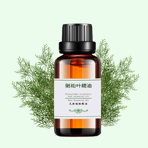 侧柏叶精油护发滋养香薰